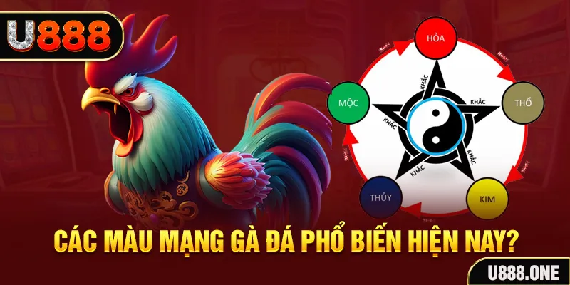 win 55 FTG Điện Tử