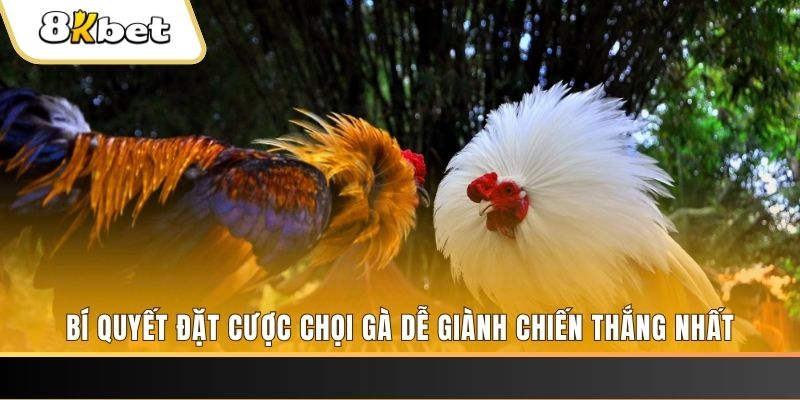 win 55 xổ số thứ hai hàng tuần